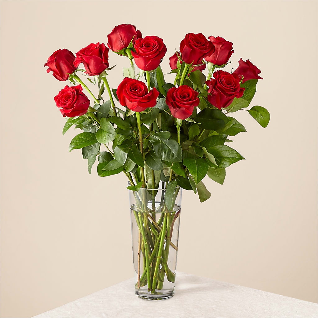 Long Stem Red Rose Bouquet – GIA'S GARDEN FLOWER SHOP INC, Bronx NY