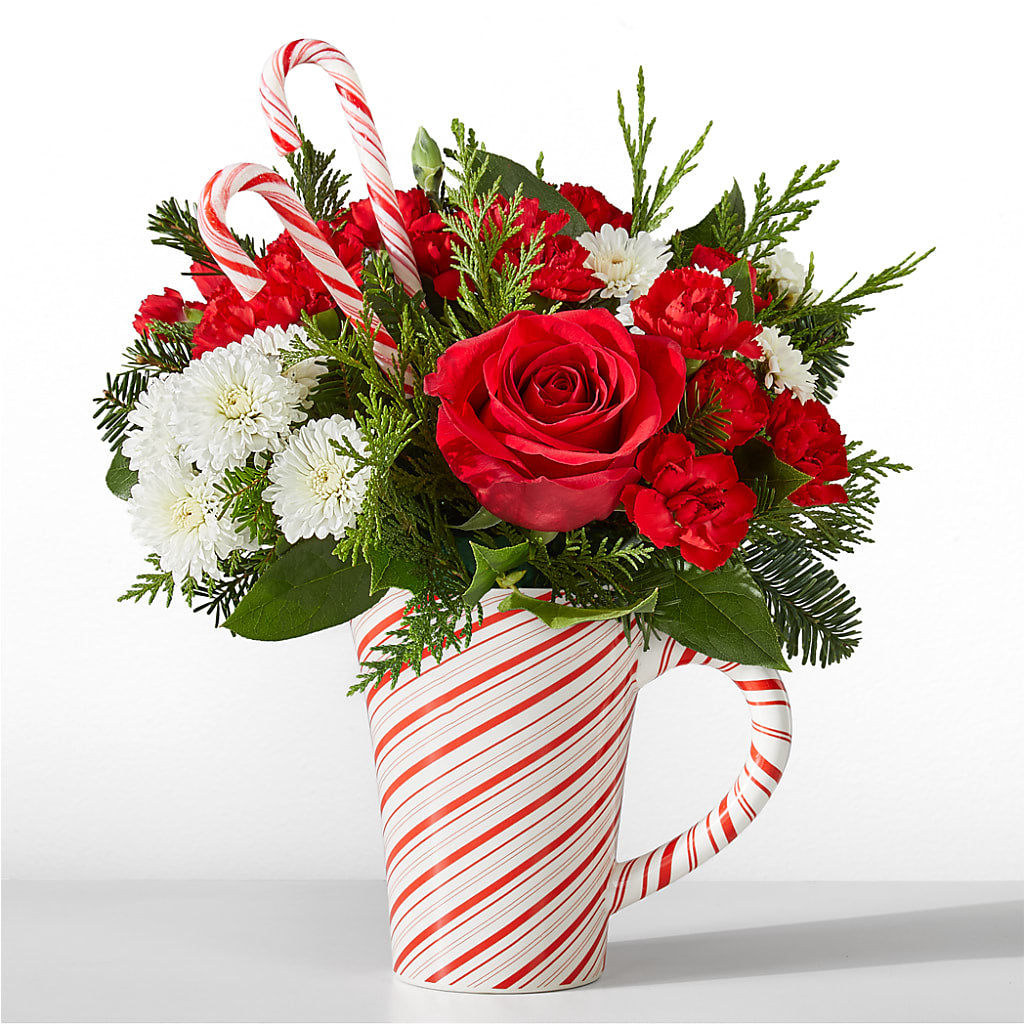 Peppermint Swirl Mug – GIA'S GARDEN FLOWER SHOP INC, Bronx NY