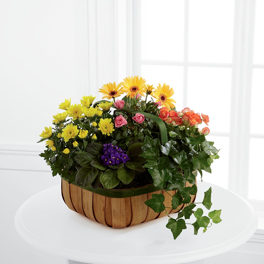 Gentle Blossoms Basket – GIA'S GARDEN FLOWER SHOP INC, Bronx NY