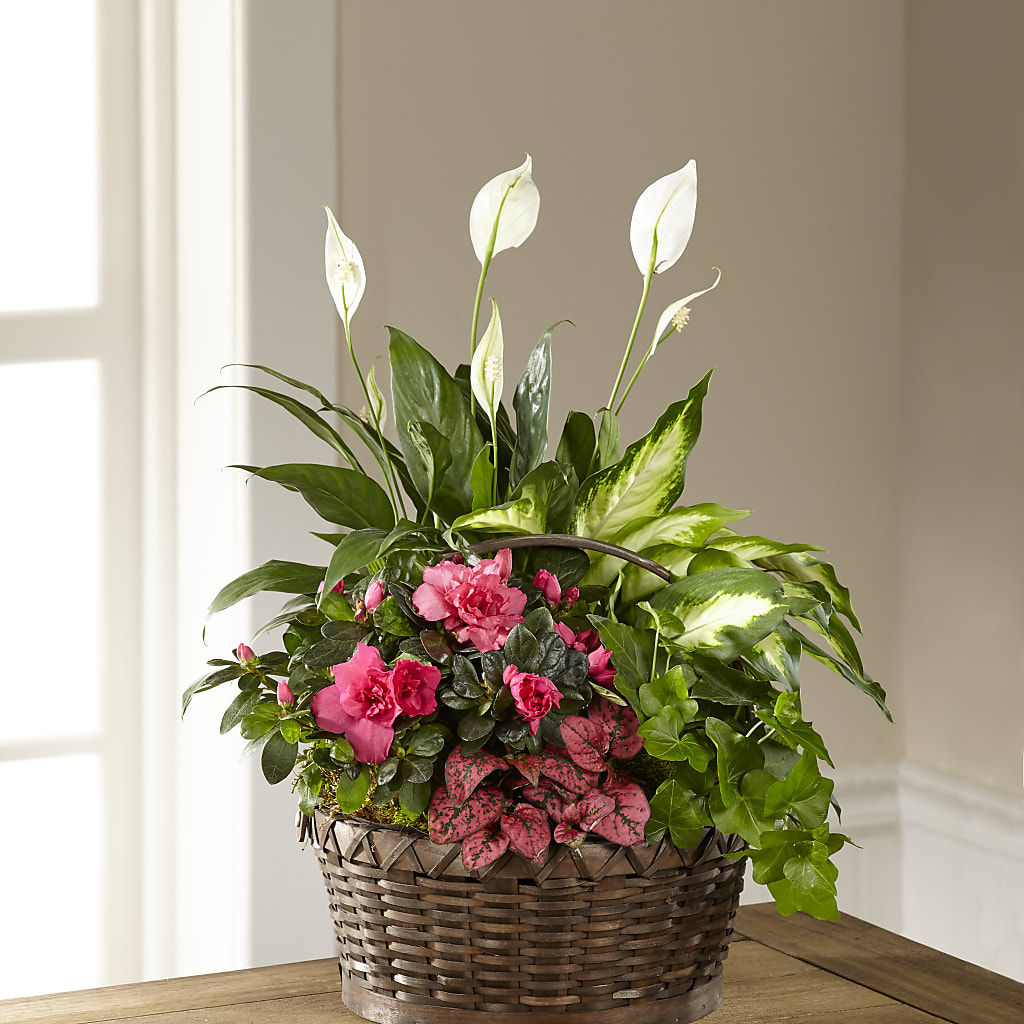 Dream in Pink Dishgarden – GIA'S GARDEN FLOWER SHOP INC, Bronx NY