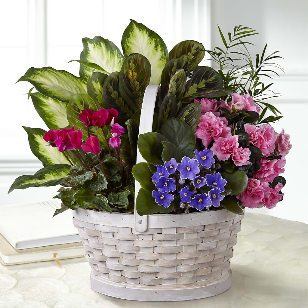 Peaceful Garden Planter – GIA'S GARDEN FLOWER SHOP INC, Bronx NY