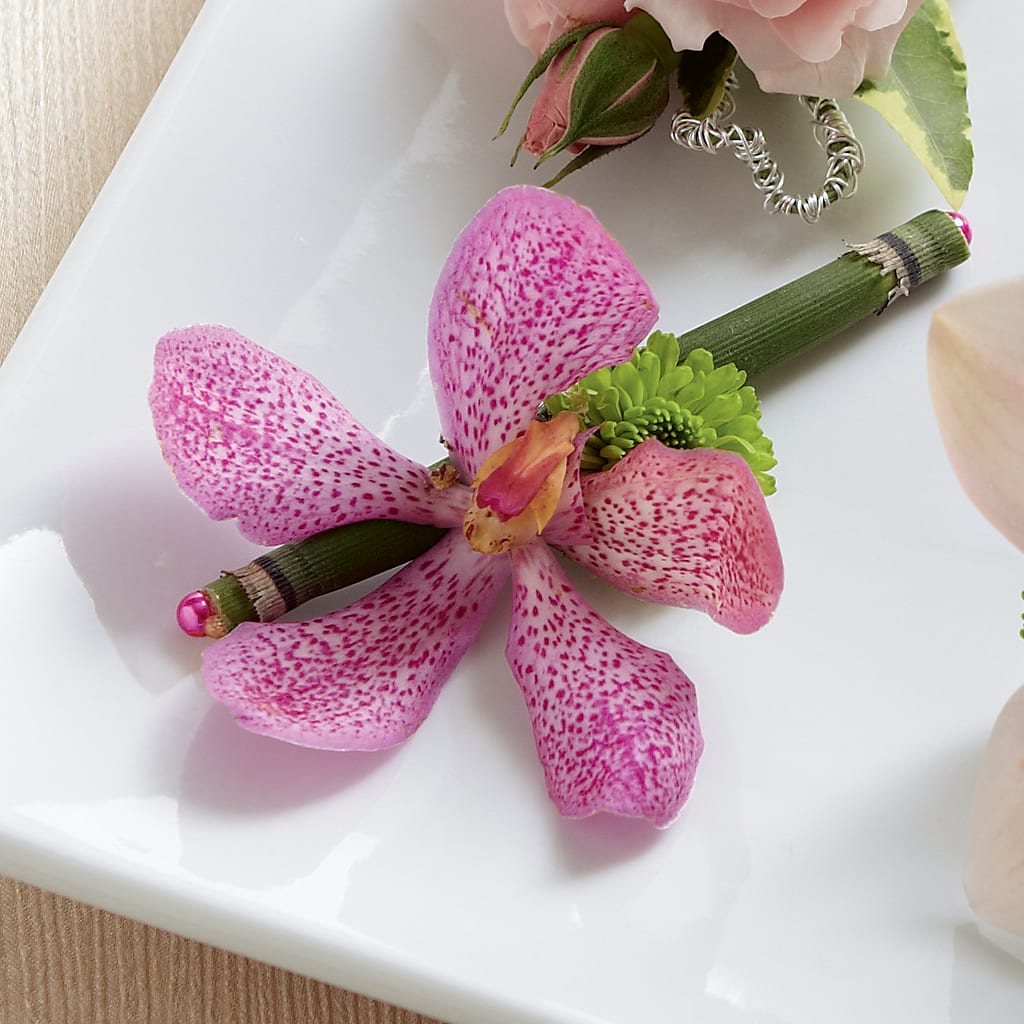 Pink Mokara Boutonniere – GIA'S GARDEN FLOWER SHOP INC, Bronx NY