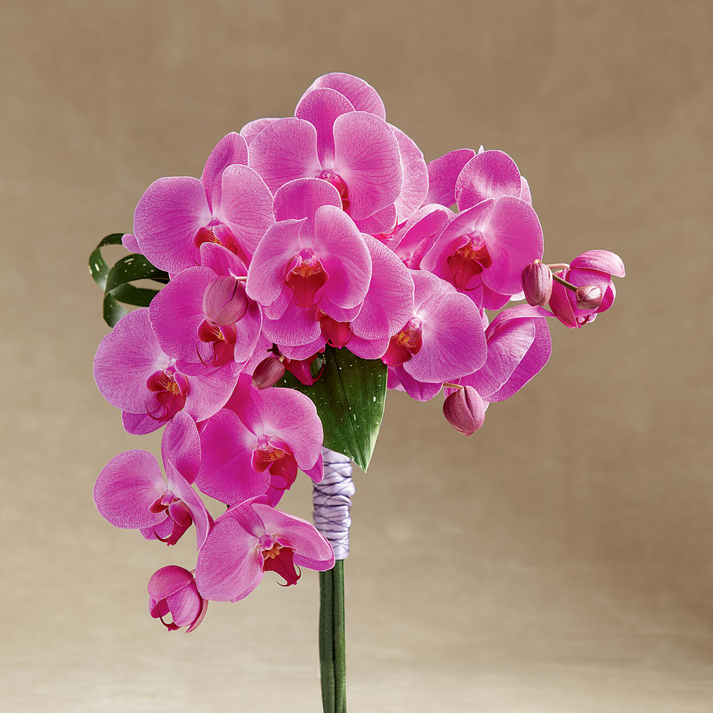 Glorious Bouquet – GIA'S GARDEN FLOWER SHOP INC, Bronx NY