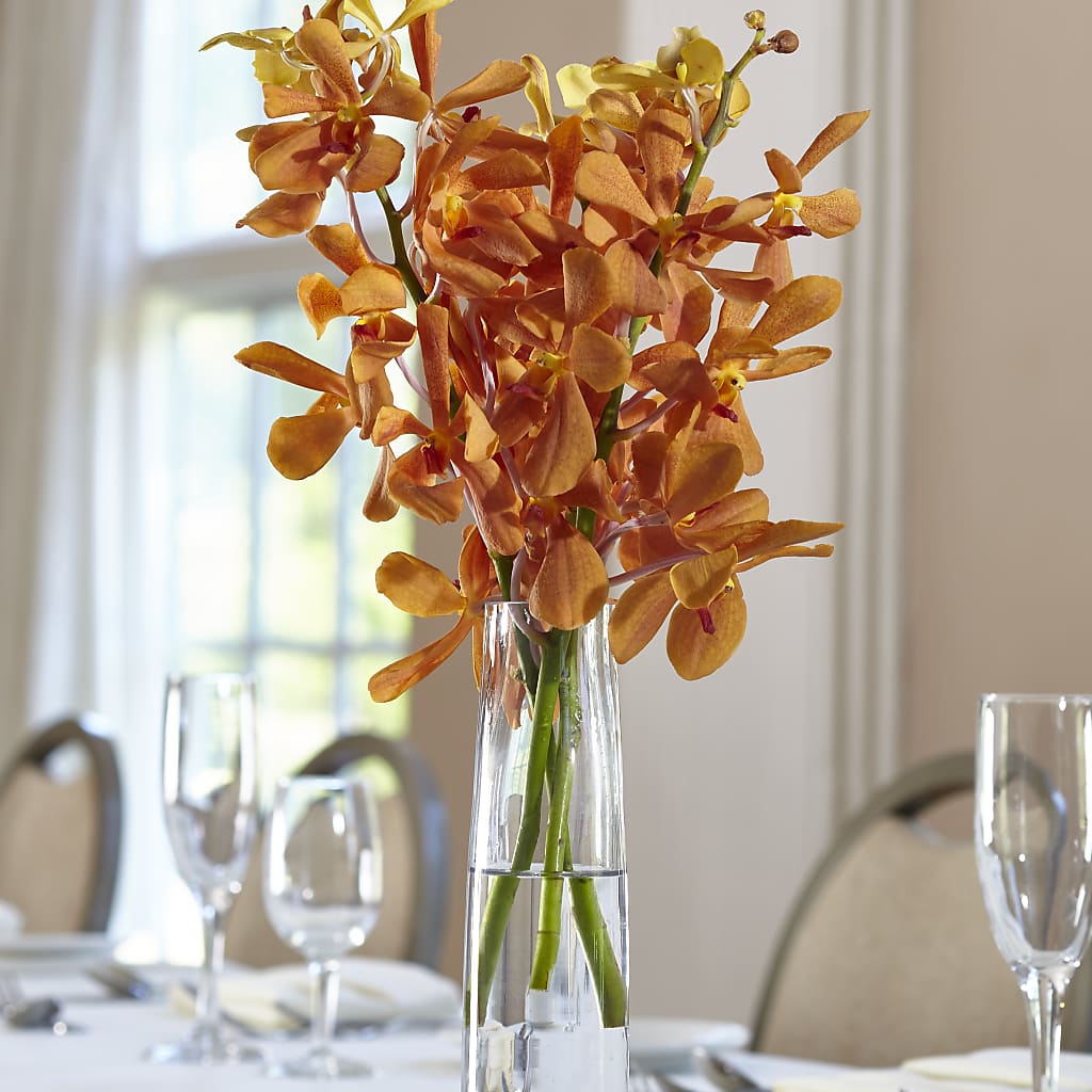 Orange Mokara Bud Vase – GIA'S GARDEN FLOWER SHOP INC, Bronx NY