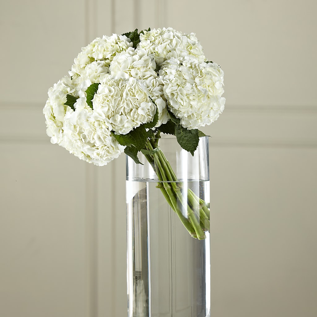 White Hydrangea Hand-Tied Bouquet – GIA'S GARDEN FLOWER SHOP INC, Bronx NY