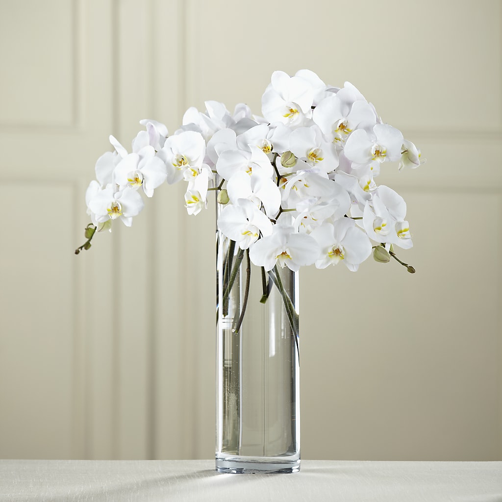 White Phalaenopsis Bouquet – GIA'S GARDEN FLOWER SHOP INC, Bronx NY