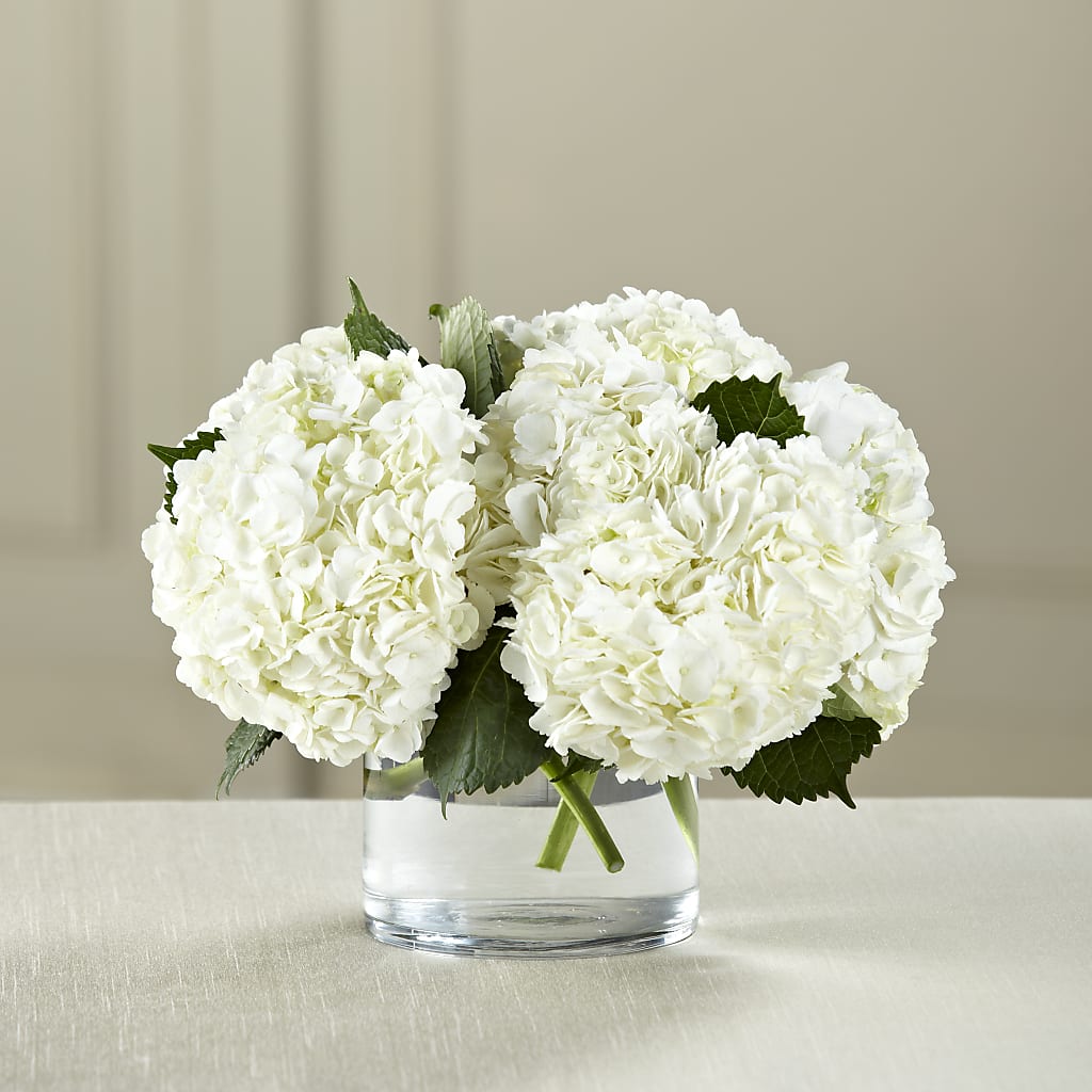 White Hydrangea Bouquet – GIA'S GARDEN FLOWER SHOP INC, Bronx NY