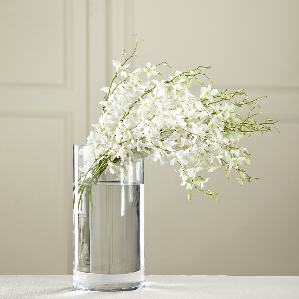 White Dendrobium Bouquet – GIA'S GARDEN FLOWER SHOP INC, Bronx NY