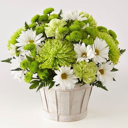 Lucky Charm Basket (Standard) – GIA'S GARDEN FLOWER SHOP INC, Bronx NY