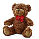 Adorable Plush Bear – GIA'S GARDEN FLOWER SHOP INC, Bronx NY