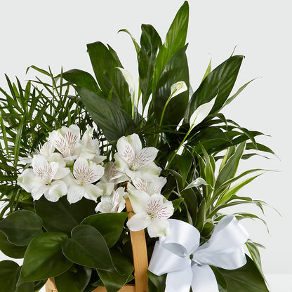Peace & Serenity Dishgarden – GIA'S GARDEN FLOWER SHOP INC, Bronx NY