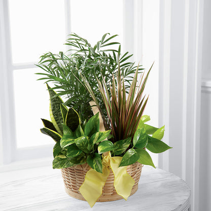 French Garden – GIA'S GARDEN FLOWER SHOP INC, Bronx NY