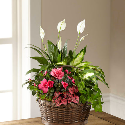 Dream in Pink Dishgarden – GIA'S GARDEN FLOWER SHOP INC, Bronx NY