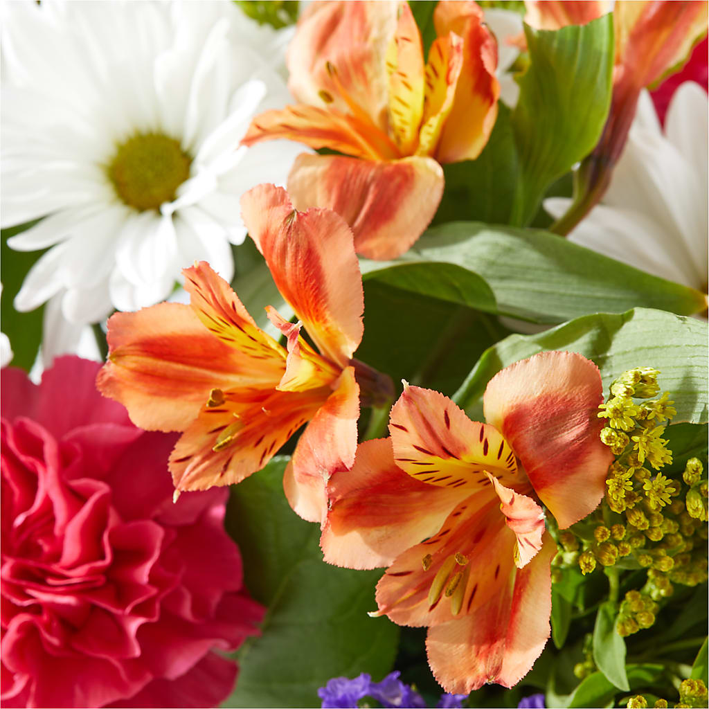 Oopsie Daisy Box Bouquet – GIA'S GARDEN FLOWER SHOP INC, Bronx NY