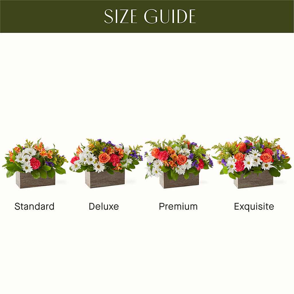 Oopsie Daisy Box Bouquet – GIA'S GARDEN FLOWER SHOP INC, Bronx NY