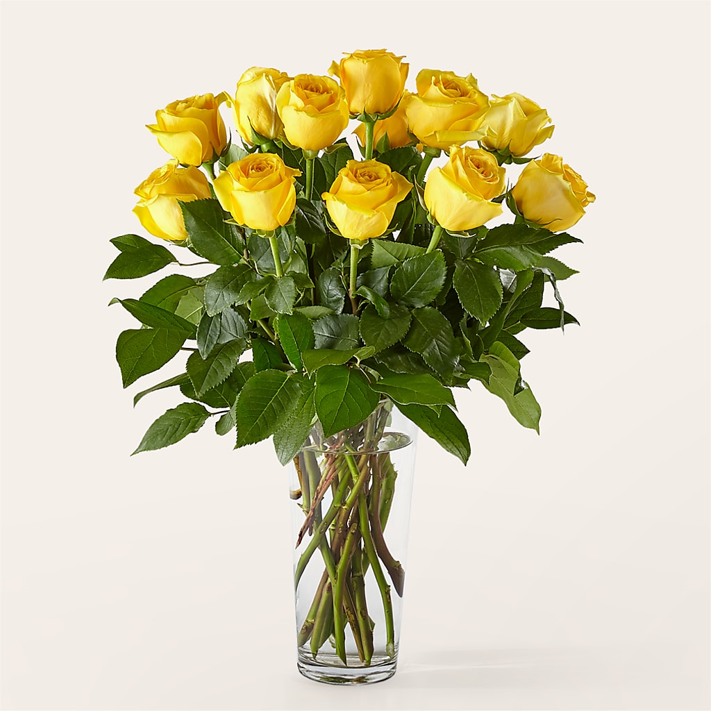 Long Stem Yellow Rose Bouquet – GIA'S GARDEN FLOWER SHOP INC, Bronx NY