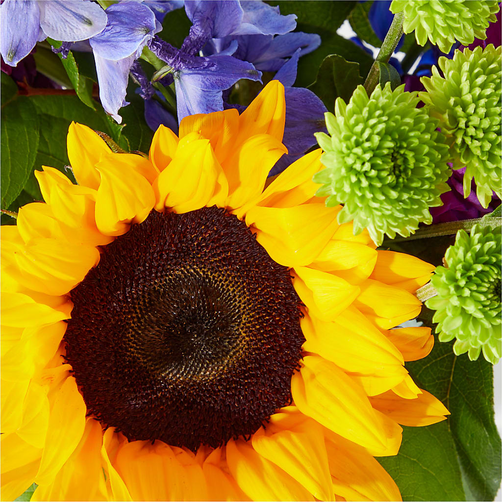Catching Rays Bouquet – GIA'S GARDEN FLOWER SHOP INC, Bronx NY