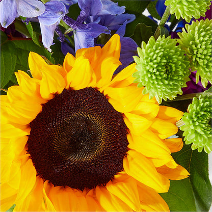 Catching Rays Bouquet – GIA'S GARDEN FLOWER SHOP INC, Bronx NY