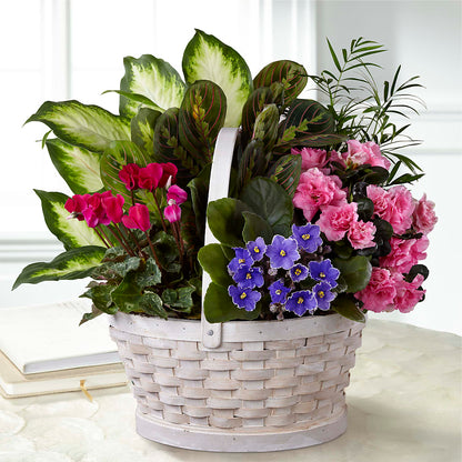 Peaceful Garden Planter – GIA'S GARDEN FLOWER SHOP INC, Bronx NY