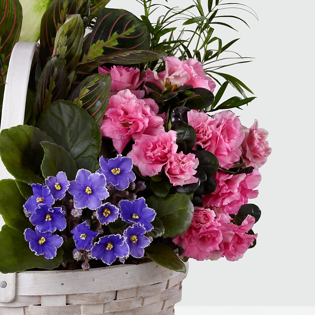 Peaceful Garden Planter – GIA'S GARDEN FLOWER SHOP INC, Bronx NY