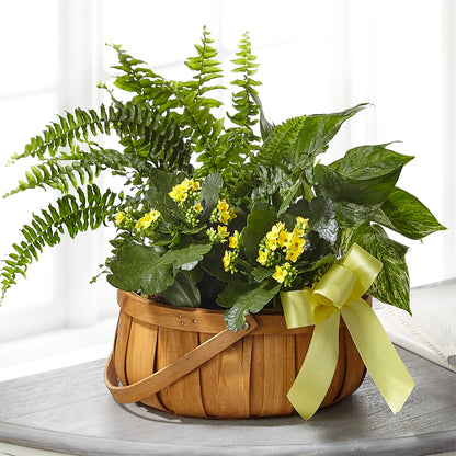 Always Dear Dishgarden – GIA'S GARDEN FLOWER SHOP INC, Bronx NY