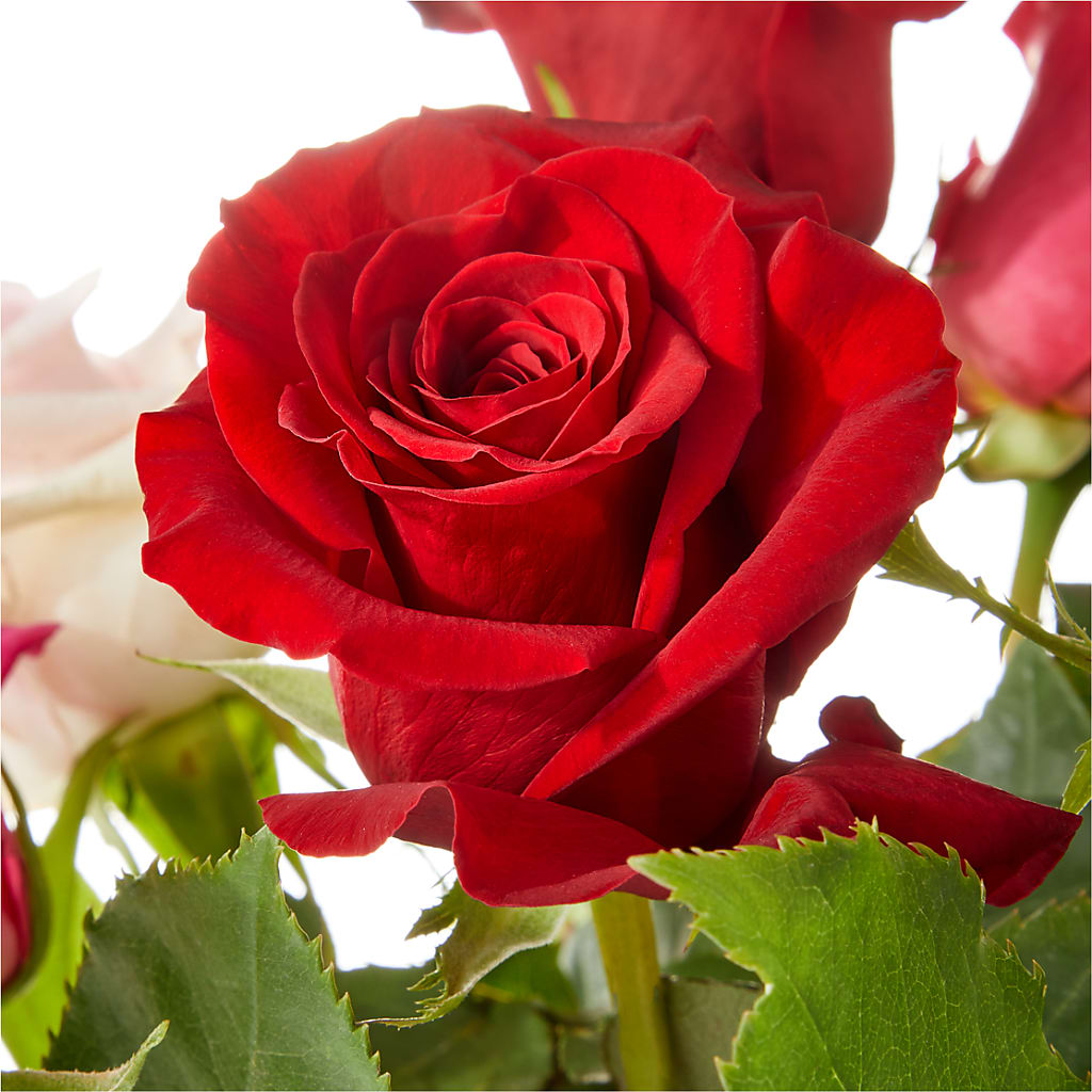 Love Notes Rose Bouquet – GIA'S GARDEN FLOWER SHOP INC, Bronx NY