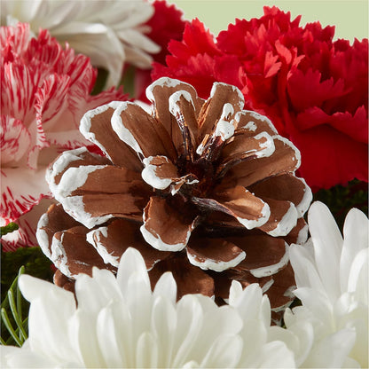 Candy Cane Lane Bouquet – GIA'S GARDEN FLOWER SHOP INC, Bronx NY