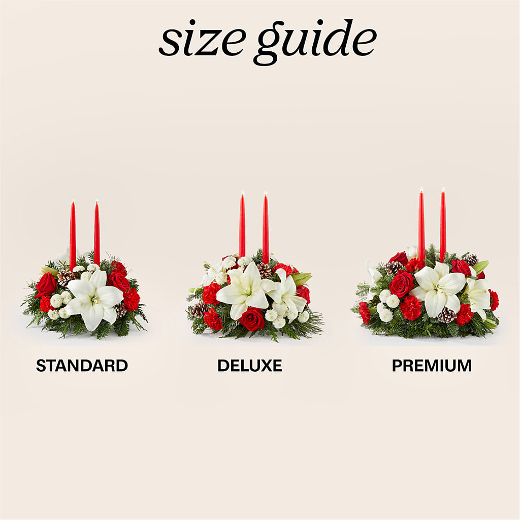 Seasonal Festivities Centerpiece – GIA'S GARDEN FLOWER SHOP INC, Bronx NY