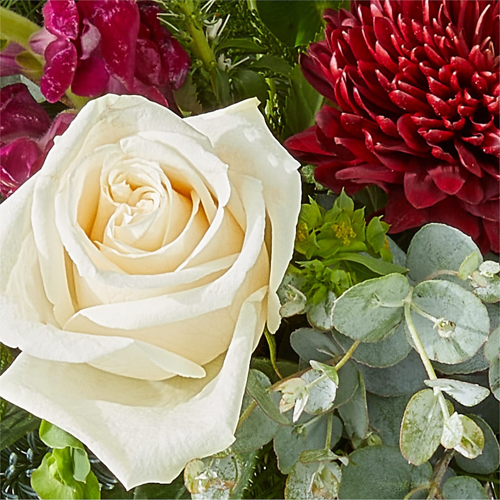 Cranberry Fizz Bouquet – GIA'S GARDEN FLOWER SHOP INC, Bronx NY