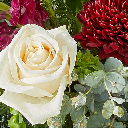 Cranberry Fizz Bouquet – GIA'S GARDEN FLOWER SHOP INC, Bronx NY