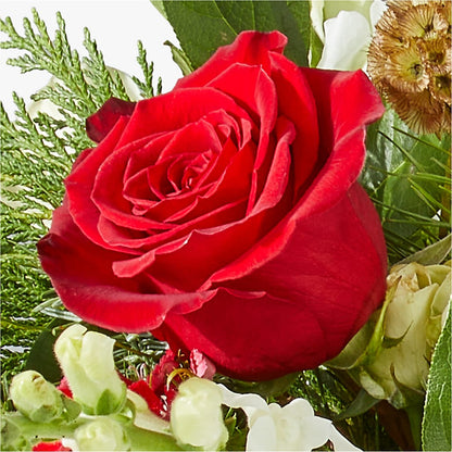 Deck the Halls Bouquet – GIA'S GARDEN FLOWER SHOP INC, Bronx NY