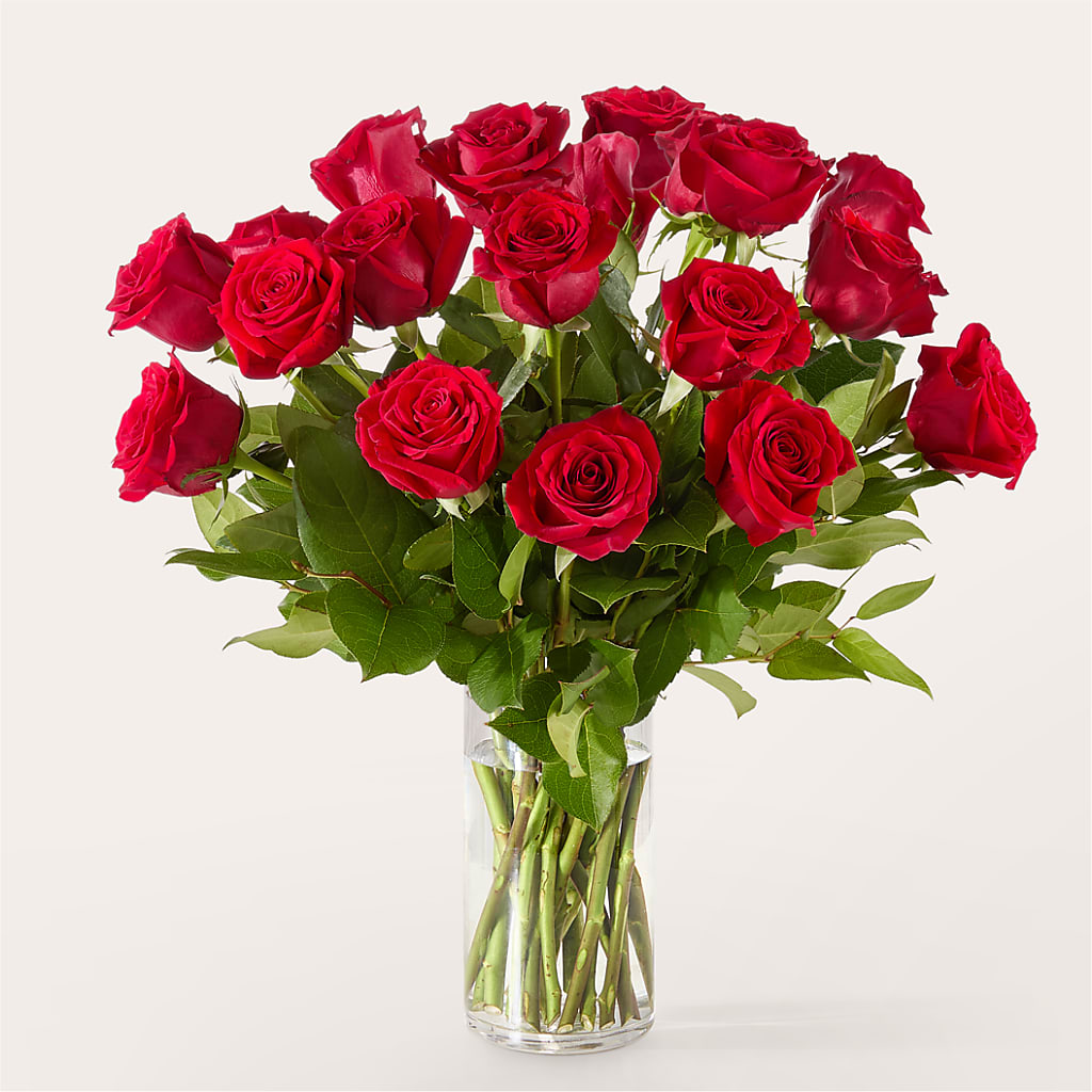 The One Red Rose Bouquet – GIA'S GARDEN FLOWER SHOP INC, Bronx NY