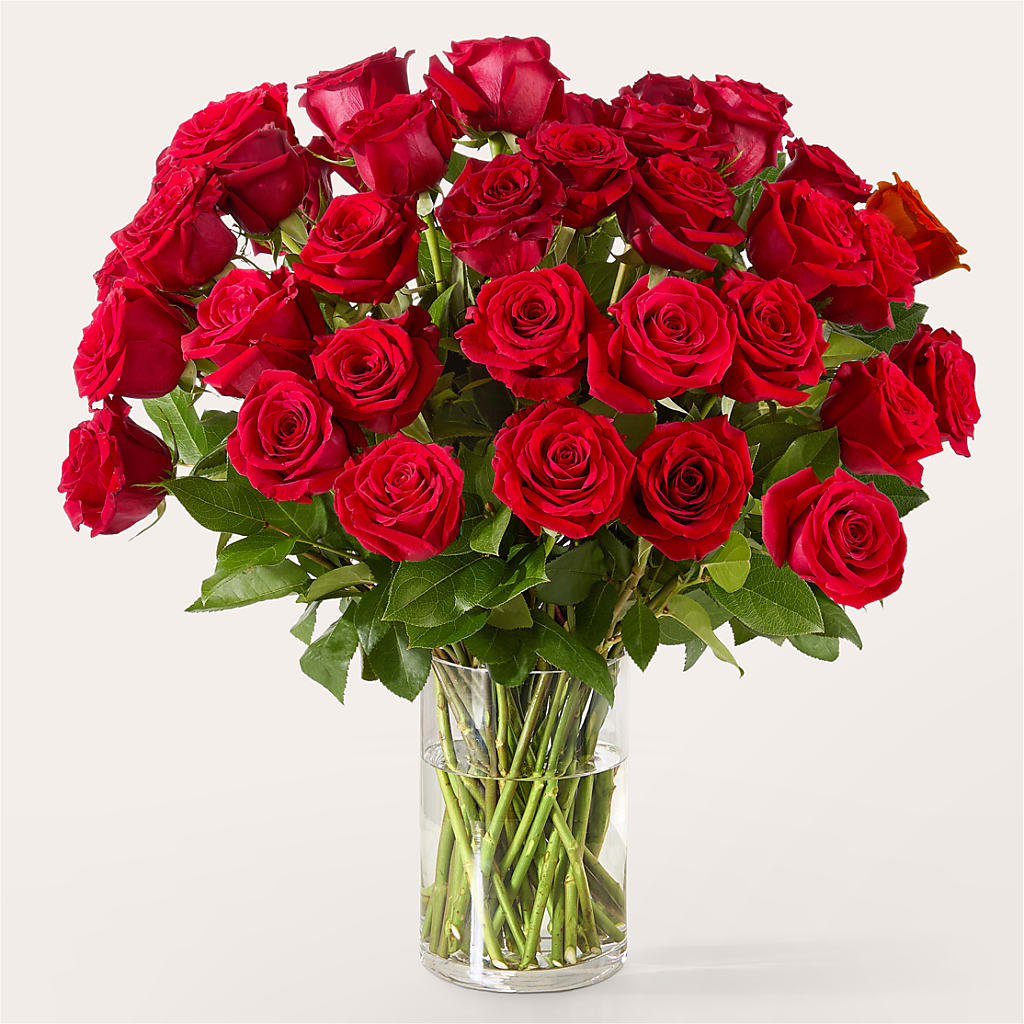 The One Red Rose Bouquet – GIA'S GARDEN FLOWER SHOP INC, Bronx NY