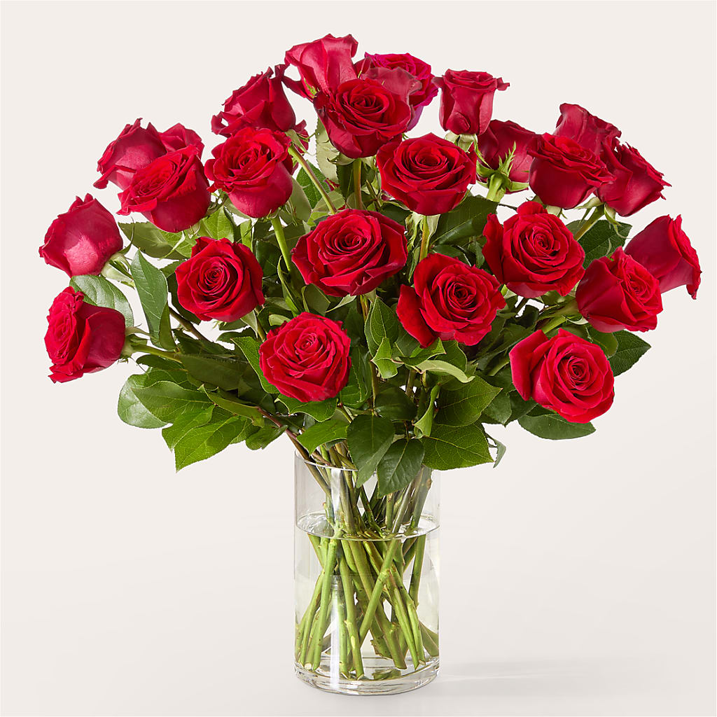 The One Red Rose Bouquet – GIA'S GARDEN FLOWER SHOP INC, Bronx NY