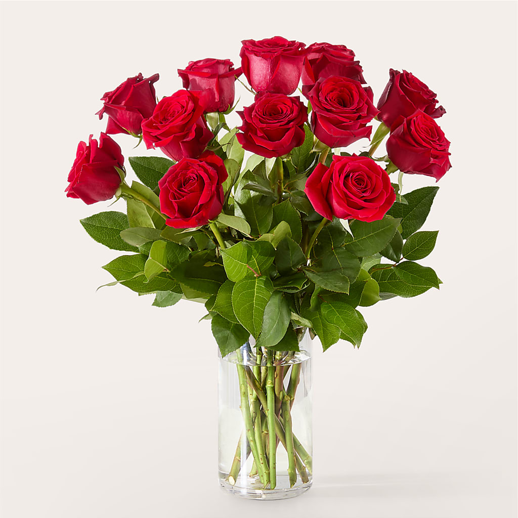 The One Red Rose Bouquet – GIA'S GARDEN FLOWER SHOP INC, Bronx NY