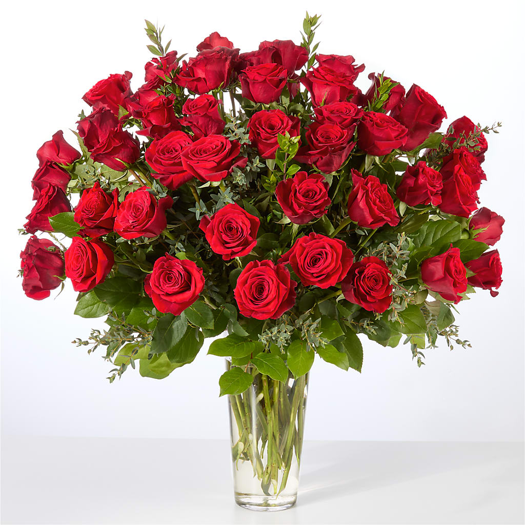 Forever Yours Fifty Stem Red Rose Bouquet – GIA'S GARDEN FLOWER SHOP INC, Bronx NY