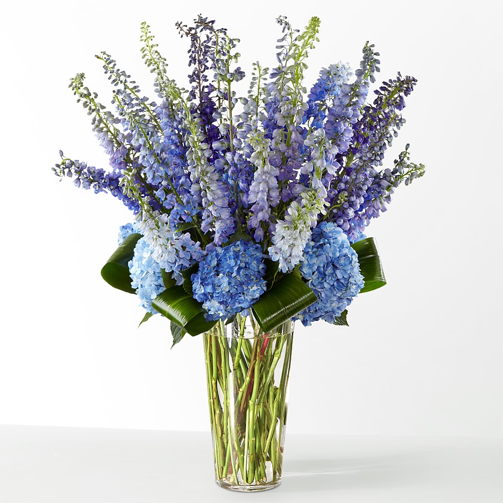 The Editorial – GIA'S GARDEN FLOWER SHOP INC, Bronx NY