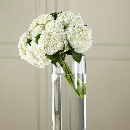 White Hydrangea Hand-Tied Bouquet – GIA'S GARDEN FLOWER SHOP INC, Bronx NY