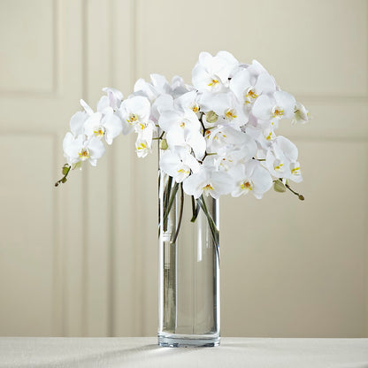 White Phalaenopsis Bouquet – GIA'S GARDEN FLOWER SHOP INC, Bronx NY