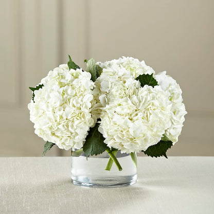 White Hydrangea Bouquet – GIA'S GARDEN FLOWER SHOP INC, Bronx NY